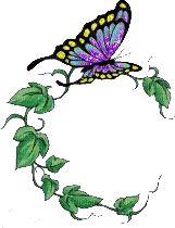 butterfly on vine - Gratis animeret GIF