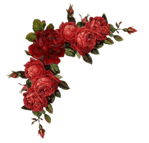 red flowers deco - PNG gratuit