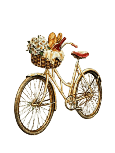 Bicycle - zdarma png