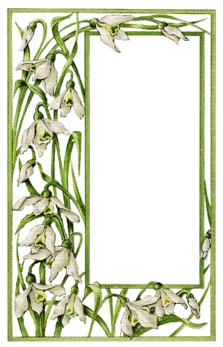 frame flowers - png grátis