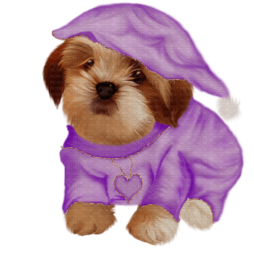 Dog Chien Puppy - zdarma png