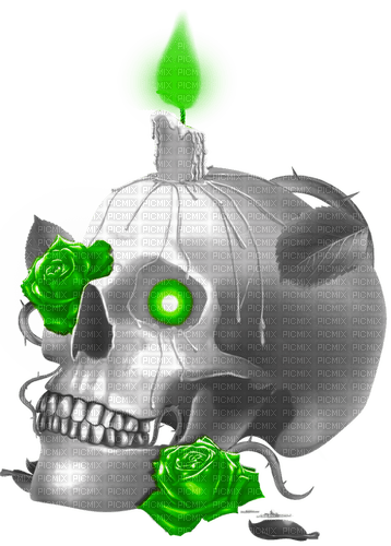 Skull.Candle.Roses.Black.White.Green - ilmainen png