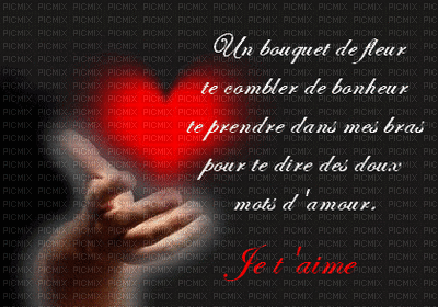 citation d'amour - Безплатен анимиран GIF