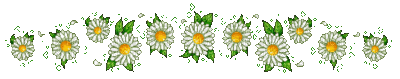 cecily-barre fleurs - Ingyenes animált GIF