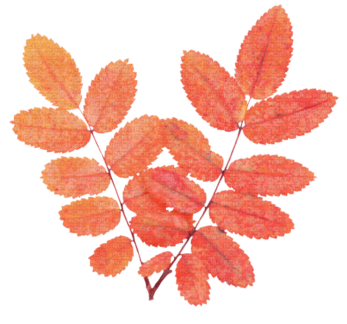 autumn deco kikkapink png leaves red light - png gratuito