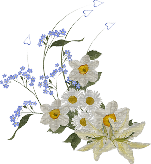 Flowers-white - nemokama png