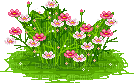 Gif fleurs - Besplatni animirani GIF