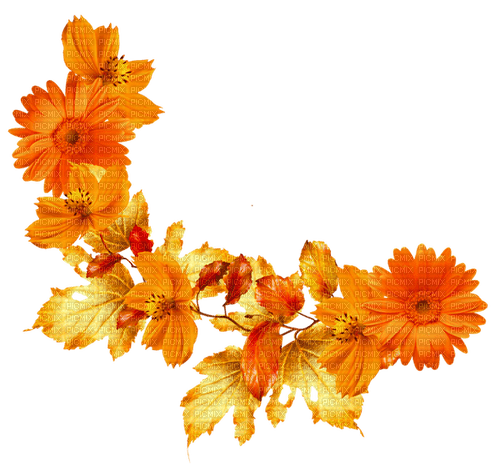 Leaves.Flowers.Gold.Orange.Red - фрее пнг