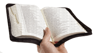 open Bible bp - png gratis