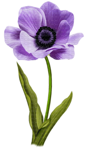 Flor de color lila - zdarma png