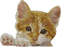 gato  dubravka4 - GIF animado gratis
