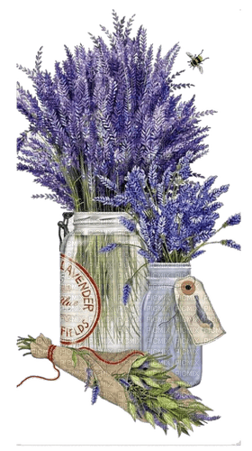lavender Bb2 - бесплатно png