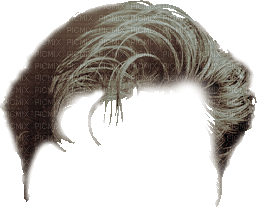 cheveux homme - 免费PNG