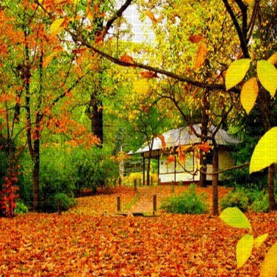 Kaz_Creations Backgrounds Background Autumn - bezmaksas png
