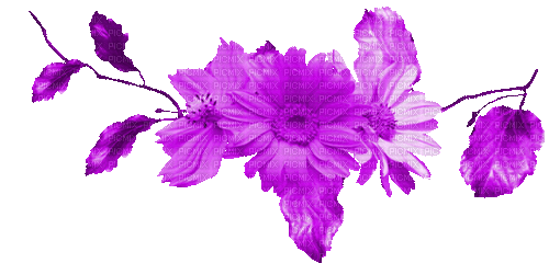 Leaves.Flowers.Purple.Animated - KittyKatLuv65 - Gratis animerad GIF