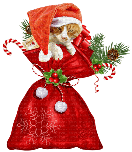 Kaz_Creations Christmas-Sack-Cat - zadarmo png