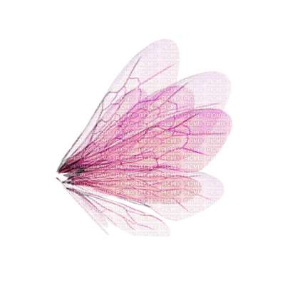 pink fairy wings - png ฟรี