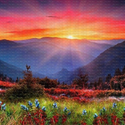 Sunset-RM - фрее пнг