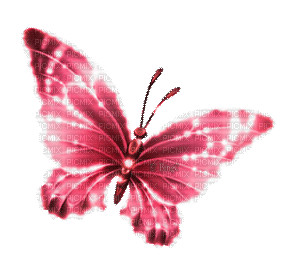 Y.A.M._Fantasy butterfly red - Free animated GIF