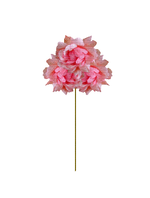 Deco, Rose, Roses, Flower, Flowers, Blue, Pink, GIF - Jitter.Bug.Girl - GIF animado gratis