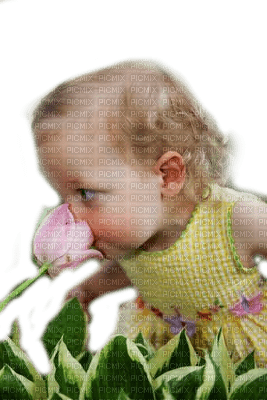 baby tulips bebe tulipes🌷🌷 - zdarma png