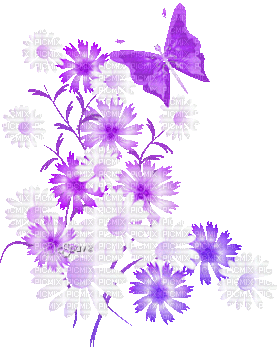 soave deco spring flowers branch butterfly - Ingyenes animált GIF