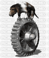 le chien sur une roue - GIF animado gratis