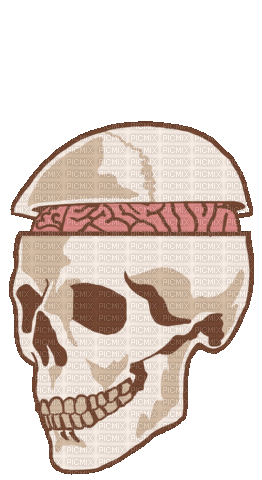 Skull Brain - Bezmaksas animēts GIF