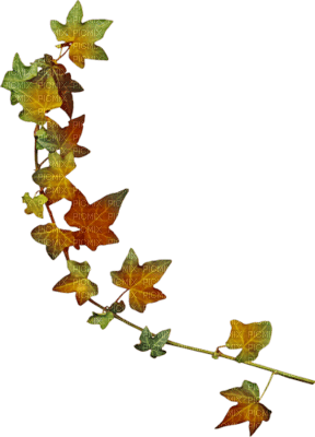 autumn - darmowe png