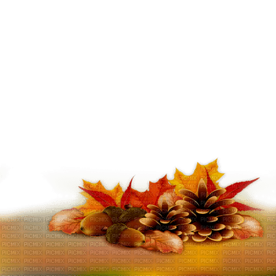 autumn frame - nemokama png