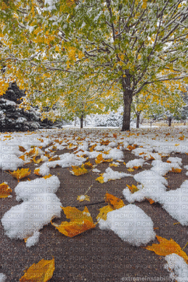 otoño frío - Gratis geanimeerde GIF