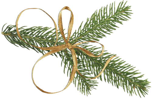 Fir with Ribbon - png gratuito