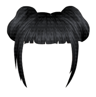 cheveux/hairs - kostenlos png