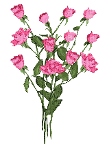 Gif mini rose animé - GIF animado gratis