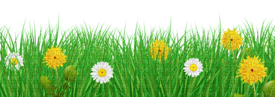 Kaz_Creations Garden-Deco-Grass - безплатен png