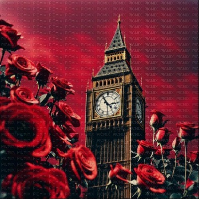 Big Ben & Red Roses - bezmaksas png