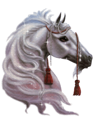 aze cheval blanc White - GIF animé gratuit