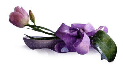 Flowers purple bp - bezmaksas png
