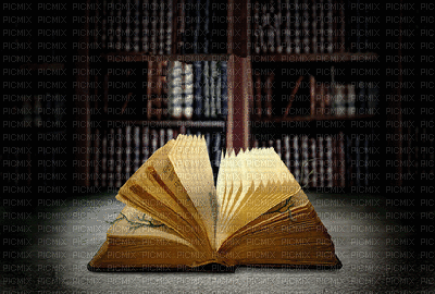 laurachan book - 無料のアニメーション GIF