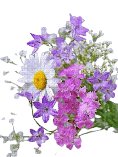 spring flowers 4 - zdarma png