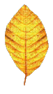 Leaf - Darmowy animowany GIF