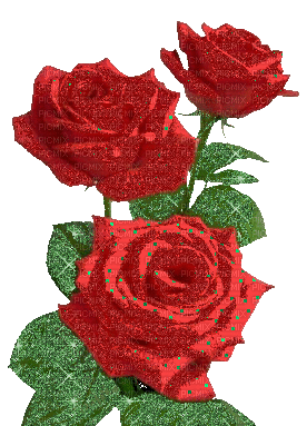 red roses animated - Bezmaksas animēts GIF