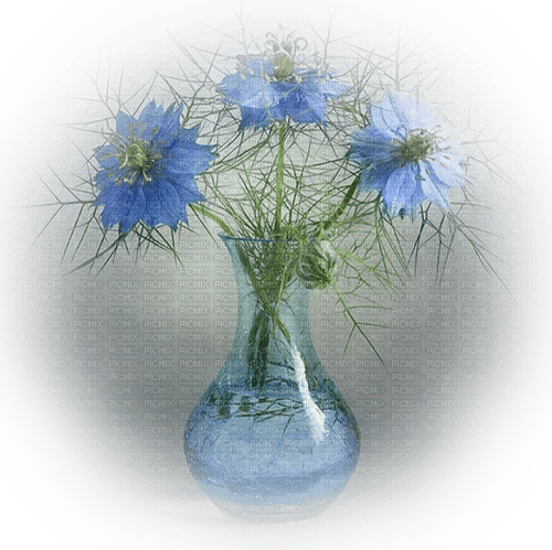 Blue Flowers - zadarmo png