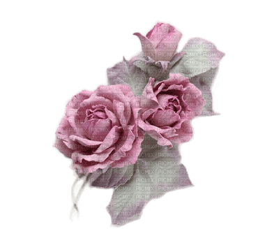 rose violette.Cheyenne63 - nemokama png