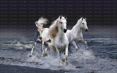 image encre paysage la nature les chevaux  effet edited by me - 無料png