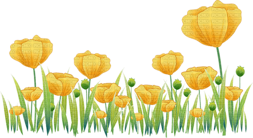 loly33 tulipe - png gratuito