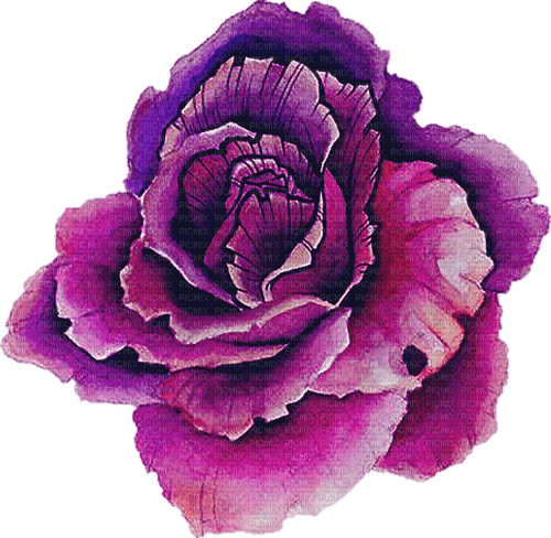 watercolor purple cabbage Bb2 - PNG gratuit