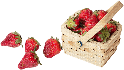 fraises - png gratuito