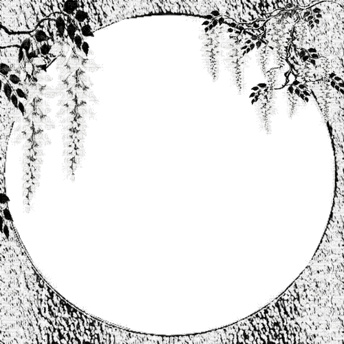 black white milla1959 - Бесплатный анимированный гифка