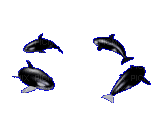 baleine - Ilmainen animoitu GIF